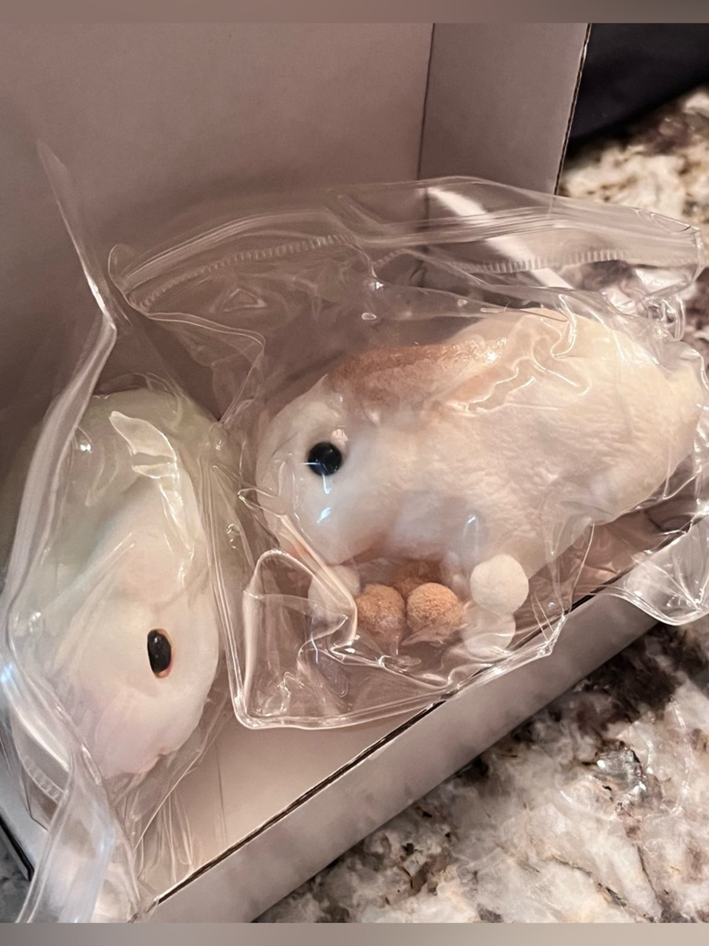 (2) Bunny Squishies